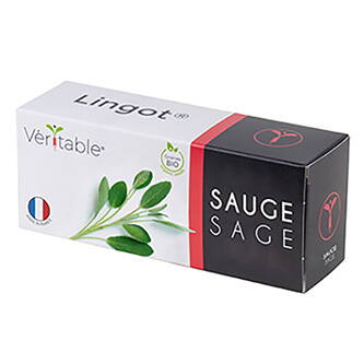 Bio semínka šalvěje, Véritable
