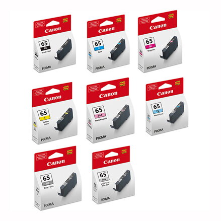 Canon originální ink CLI-65, light gray, 12.6ml, 4222C001, Canon Pixma Pro-200