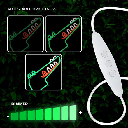 Neon PLEXI LED JURASSIC CROC green FLNJ03 Forever Light