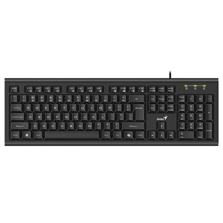 Genius KB-113 COPILOT, klávesnice CZ/SK, klasická, drátová (USB), černá