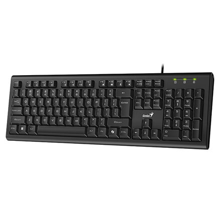 Genius KB-113 COPILOT, klávesnice CZ/SK, klasická, drátová (USB), černá