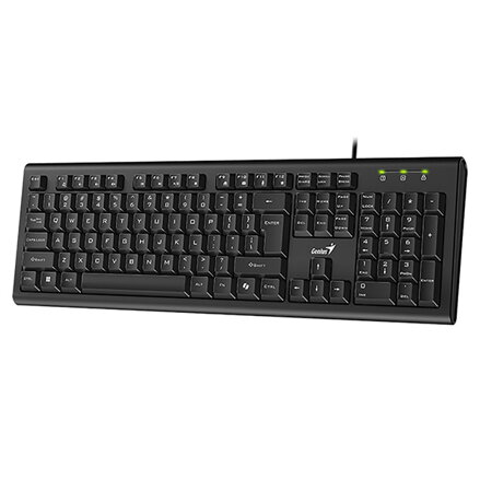 Genius KB-113 COPILOT, klávesnice CZ/SK, klasická, drátová (USB), černá