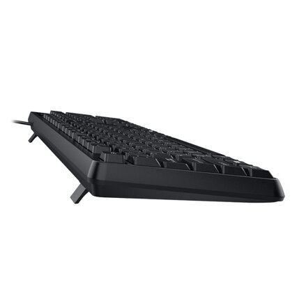 Genius KB-117 COPILOT, klávesnice CZ/SK, klasická, voděodolná typ drátová (USB), černá, ne