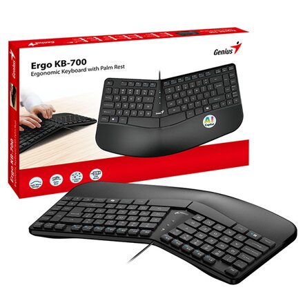 Genius Ergo KB-700, CZ/SK, ergonomická, drátová (USB), černá, Copilot