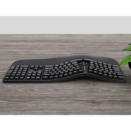 Powerton LANA, ergonomická klávesnice US, drátová (USB), černá